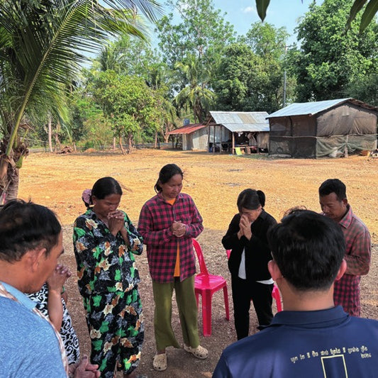 Bible Training & Discipleship